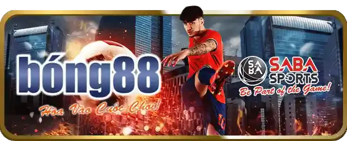 Đá Gà XWinnr
